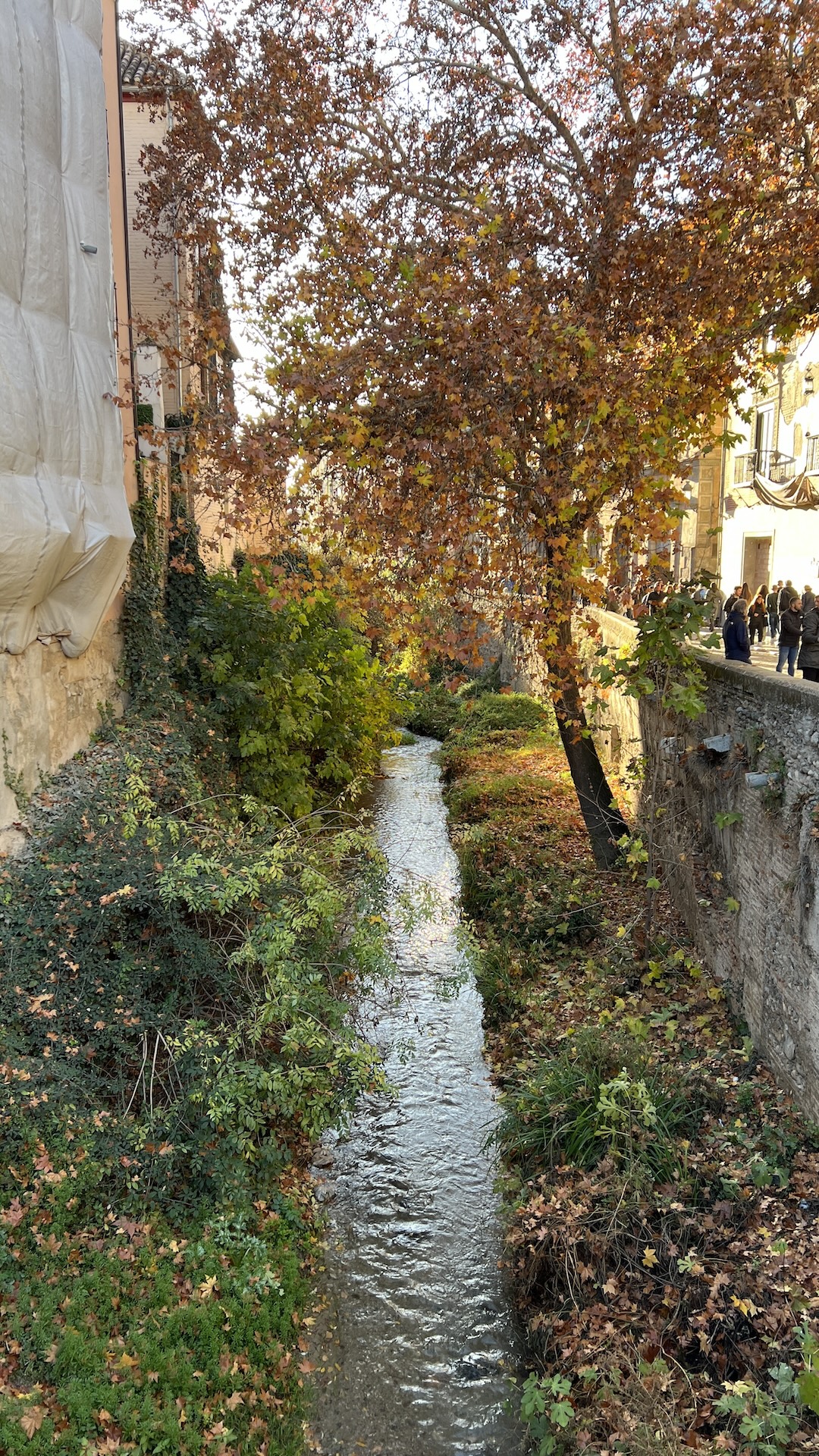 Stream in Granada, December 2023